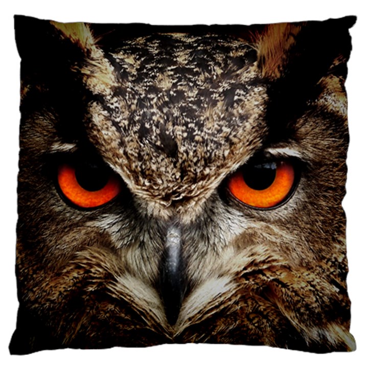 Owl s Scowl Standard Flano Cushion Case (Two Sides)