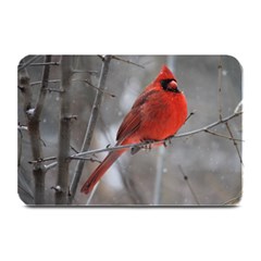 Northern Cardinal  Plate Mats by WensdaiAmbrose