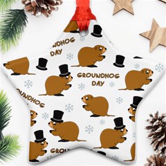 Groundhog Day Pattern Star Ornament (two Sides)