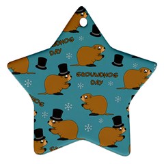 Groundhog Day Pattern Ornament (star) by Valentinaart