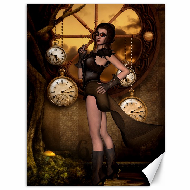 Wonderful Steampunk Lady Canvas 36  x 48 