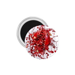 Red Pomegranate Fried Fruit Juice 1 75  Magnets by Mariart