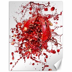 Red Pomegranate Fried Fruit Juice Canvas 12  X 16  by Mariart