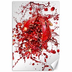 Red Pomegranate Fried Fruit Juice Canvas 20  X 30  by Mariart