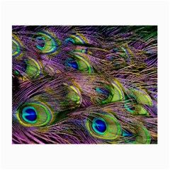 Peacock Feathers Small Glasses Cloth (2-side) by WensdaiAmbrose