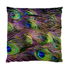 Peacock Feathers Standard Cushion Case (one Side) by WensdaiAmbrose