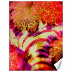 Fractal Mandelbrot Art Wallpaper Canvas 12  X 16  by Pakrebo