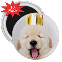 Royal Puppy Yawns 3  Magnets (10 Pack)  by WensdaiAmbrose