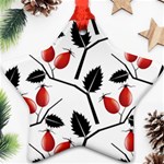 Rose Hip Pattern Branches Autumn Star Ornament (Two Sides) Front