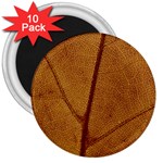 Leaf Fall Foliage Nature Orange 3  Magnets (10 pack)  Front