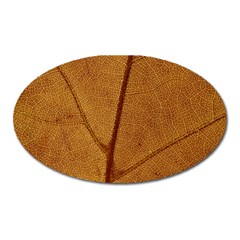 Leaf Fall Foliage Nature Orange Oval Magnet by Pakrebo