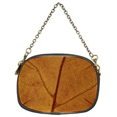 Leaf Fall Foliage Nature Orange Chain Purse (one Side) by Pakrebo