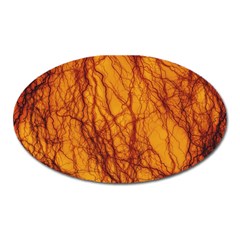 Lightning Internal Blood Vessel Oval Magnet by Pakrebo