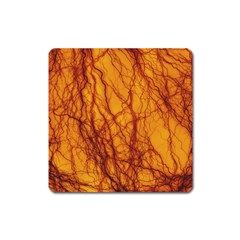 Lightning Internal Blood Vessel Square Magnet by Pakrebo