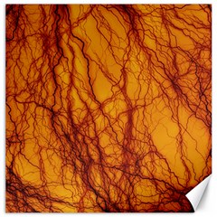 Lightning Internal Blood Vessel Canvas 16  X 16  by Pakrebo