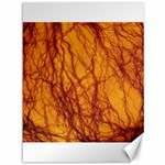 Lightning Internal Blood Vessel Canvas 36  x 48  35.26 x46.15  Canvas - 1