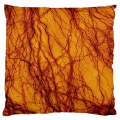 Lightning Internal Blood Vessel Large Flano Cushion Case (two Sides) by Pakrebo