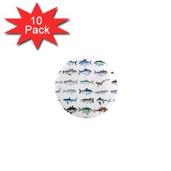 Ml 6-6 Fish 1  Mini Magnet (10 Pack)  by ArtworkByPatrick