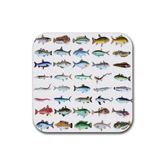 Ml 6-6 Fish Rubber Coaster (square)  by ArtworkByPatrick