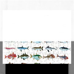 Ml 6-6 Fish Rectangular Jigsaw Puzzl by ArtworkByPatrick