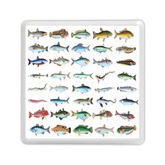 Ml 6-6 Fish Memory Card Reader (square) by ArtworkByPatrick