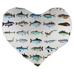 Ml 6-6 Fish Large 19  Premium Heart Shape Cushions by ArtworkByPatrick