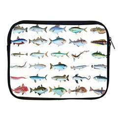 Ml 6-6 Fish Apple Ipad 2/3/4 Zipper Cases by ArtworkByPatrick