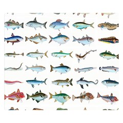 Ml 6-6 Fish Double Sided Flano Blanket (small)  by ArtworkByPatrick