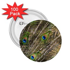 Green Peacock Feathers Color Plumage 2 25  Buttons (100 Pack)  by Pakrebo