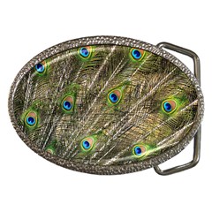 Green Peacock Feathers Color Plumage Belt Buckles by Pakrebo