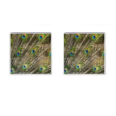 Green Peacock Feathers Color Plumage Cufflinks (square) by Pakrebo