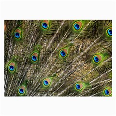 Green Peacock Feathers Color Plumage Large Glasses Cloth (2-side) by Pakrebo