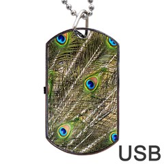 Green Peacock Feathers Color Plumage Dog Tag Usb Flash (two Sides) by Pakrebo