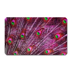 Red Peacock Feathers Color Plumage Magnet (Rectangular)