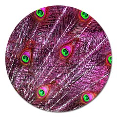 Red Peacock Feathers Color Plumage Magnet 5  (Round)