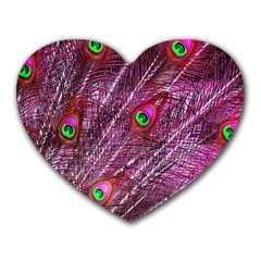 Red Peacock Feathers Color Plumage Heart Mousepads