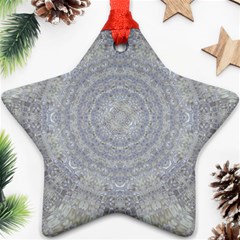 Lace Flower Planet And Decorative Star Ornament (star) by pepitasart