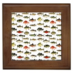 Ml 71 Fish Of North America Framed Tiles by ArtworkByPatrick