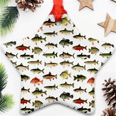 Ml 71 Fish Of North America Ornament (star) by ArtworkByPatrick