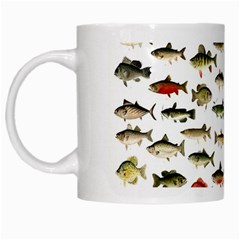 Ml 71 Fish Of North America White Mugs by ArtworkByPatrick