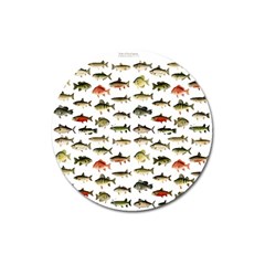 Ml 71 Fish Of North America Magnet 3  (round) by ArtworkByPatrick