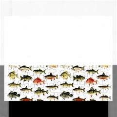 Ml 71 Fish Of North America Rectangular Jigsaw Puzzl by ArtworkByPatrick