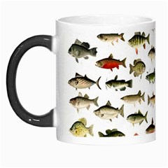 Ml 71 Fish Of North America Morph Mugs by ArtworkByPatrick