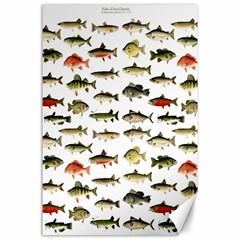 Ml 71 Fish Of North America Canvas 24  X 36  by ArtworkByPatrick