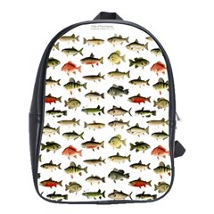 Ml 71 Fish Of North America School Bag (large) by ArtworkByPatrick