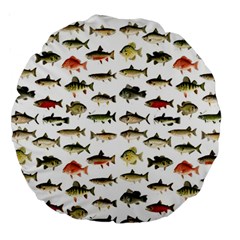 Ml 71 Fish Of North America Large 18  Premium Round Cushions by ArtworkByPatrick