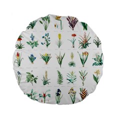 Ml-7-3 Standard 15  Premium Flano Round Cushions by ArtworkByPatrick