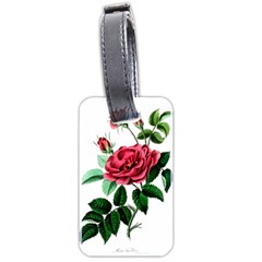 Ml-7-5 Luggage Tags (two Sides) by ArtworkByPatrick