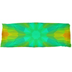 Kaleidoscope Background Body Pillow Case Dakimakura (two Sides) by Mariart