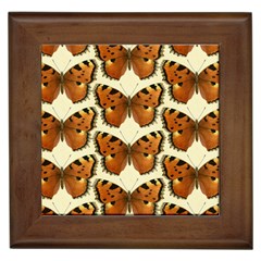 Butterflies Insects Framed Tiles by Mariart